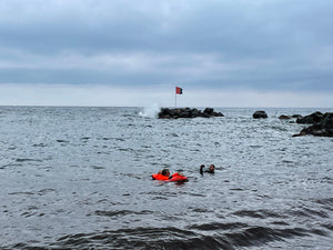 FReD Fast Rescue Device for Remote Water Rescue